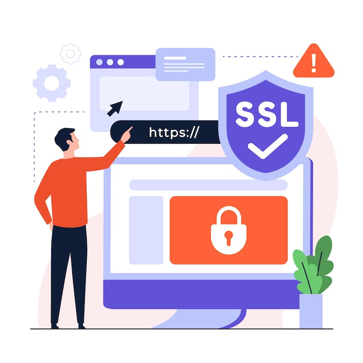 Domain + Hosting + SSL